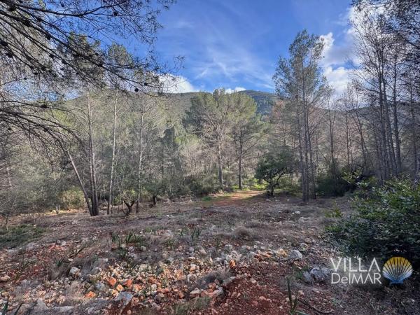 Terreno en Cv-749, 2