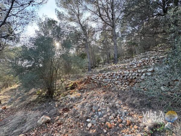 Terreno en Cv-749, 2