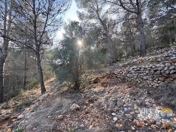 Terreno en Cv-749, 2