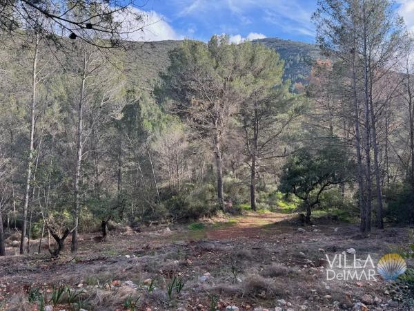 Terreno en Cv-749, 2