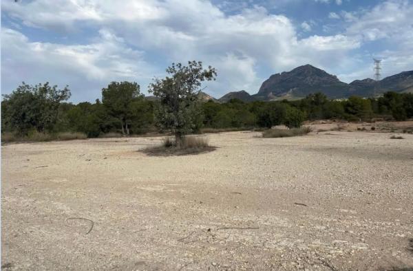 Terreno en Partida Saltet