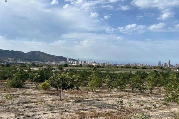 Terreno en Partida Saltet