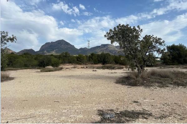 Terreno en Partida Saltet