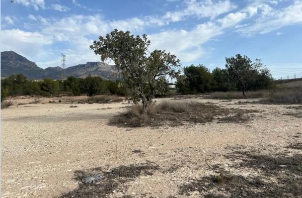 Terreno en Partida Saltet