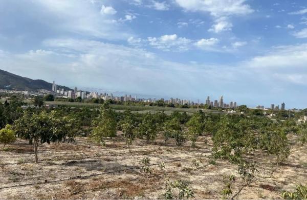 Terreno en Partida Saltet