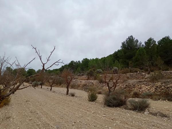 Terreno en via sense nom s/n