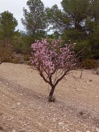 Terreno en via sense nom s/n