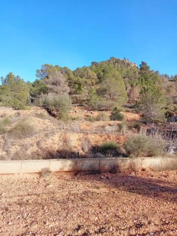 Terreno en Barrio Canicios, 22