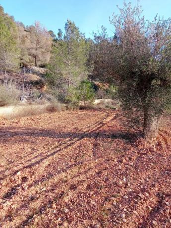 Terreno en Barrio Canicios, 22