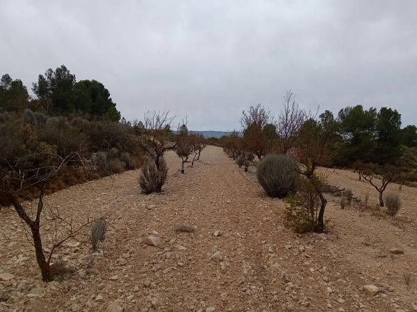 Terreno en via sense nom s/n