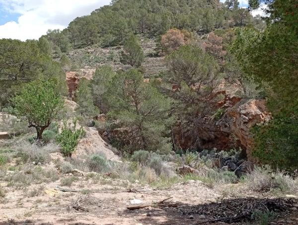 Terreno en Barrio Canicios, 22