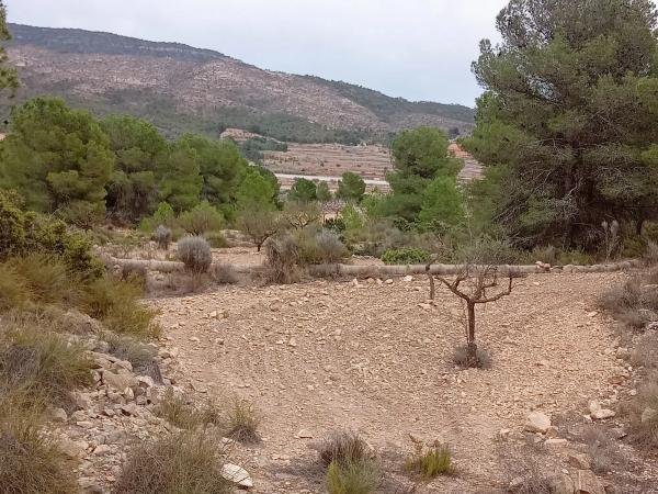 Terreno en via sense nom s/n