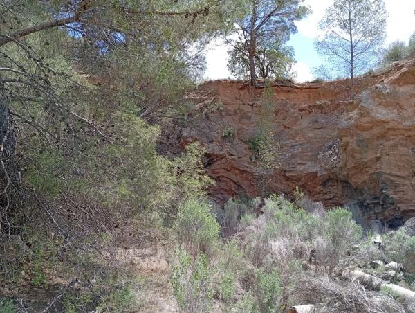 Terreno en Barrio Canicios, 22