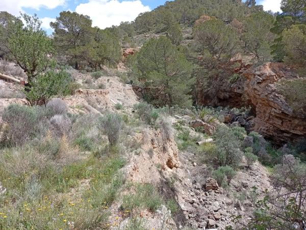 Terreno en Barrio Canicios, 22