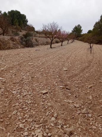 Terreno en via sense nom s/n