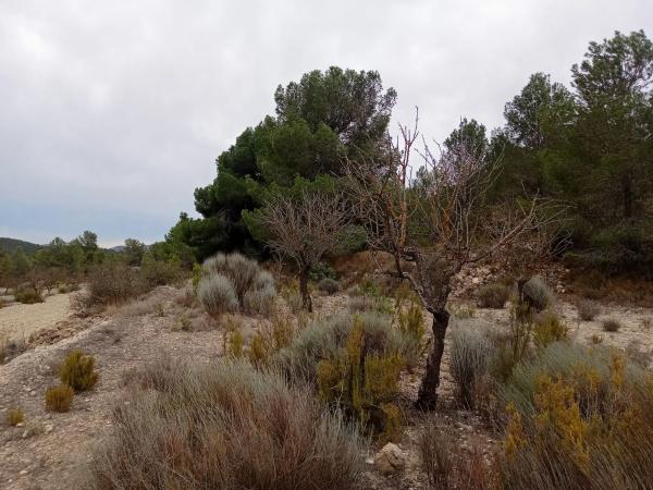 Terreno en via sense nom s/n