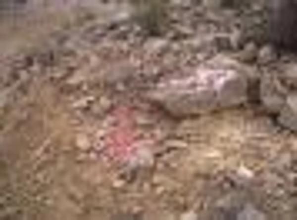 Terreno en Villamontes-Boqueres