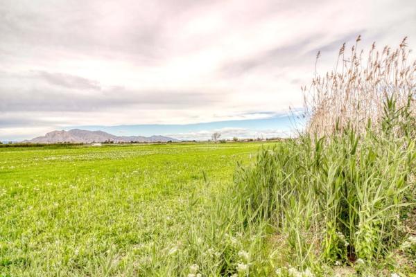Terreno en San Isidro