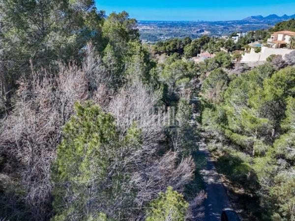 Terreno en calle Principal de la Serra
