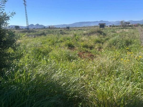 Terreno en Partida Buscarrons Cl-01, 5