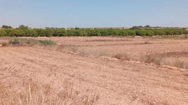 Terreno en via Partida de San Bruno s/n