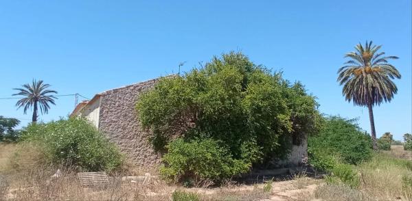 Terreno en via Partida de San Bruno s/n