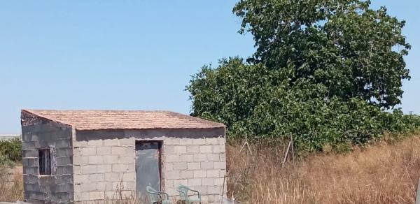 Terreno en via Partida de San Bruno s/n