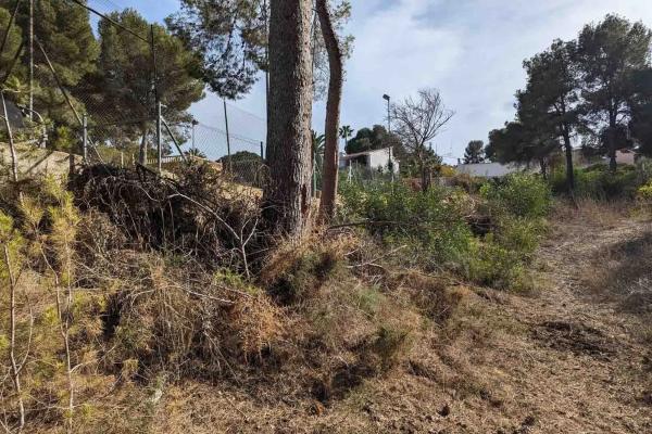Terreno en Pinar de Advocat-Cometa