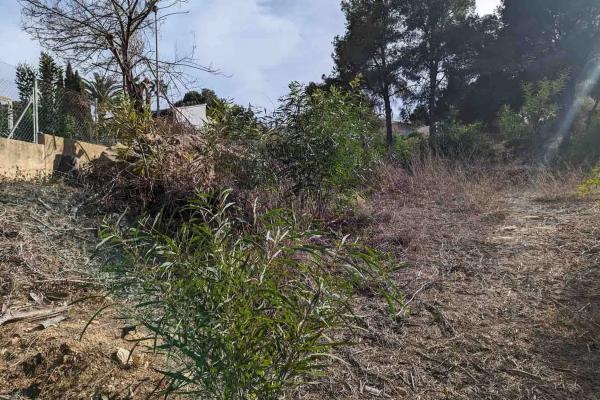 Terreno en Pinar de Advocat-Cometa