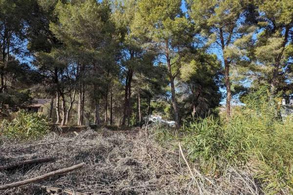 Terreno en Pinar de Advocat-Cometa