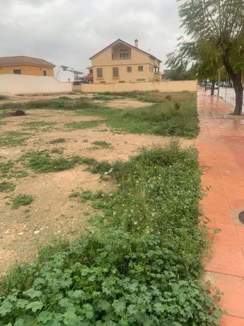 Terreno en calle Juan Carlos I, 161