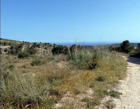 Terreno en calle la Venteta