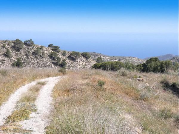 Terreno en calle la Venteta