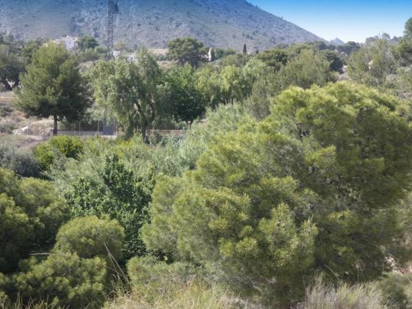 Terreno en calle la Venteta