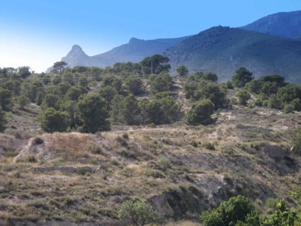 Terreno en calle la Venteta