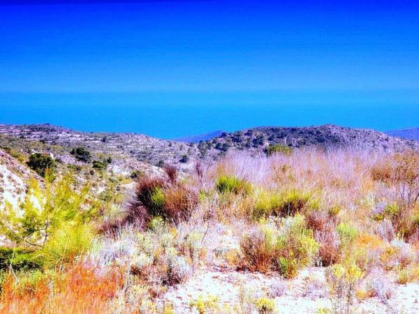 Terreno en calle la Venteta