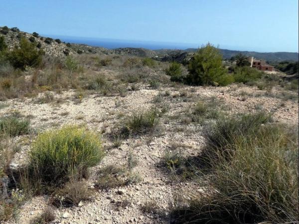 Terreno en calle la Venteta