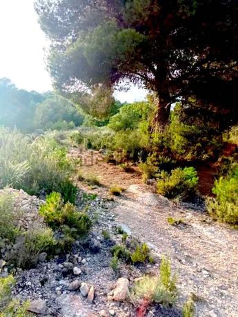 Terreno en Poligono 12, parcela 75, partida Castillo s/n