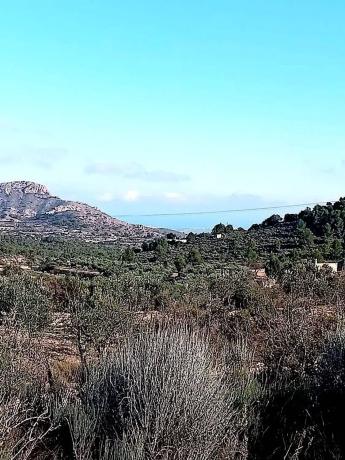 Terreno en Poligono 12, parcela 75, partida Castillo s/n