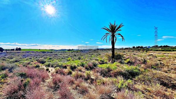 Terreno en Diseminado Bacarot