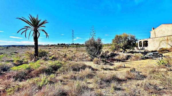 Terreno en Diseminado Bacarot