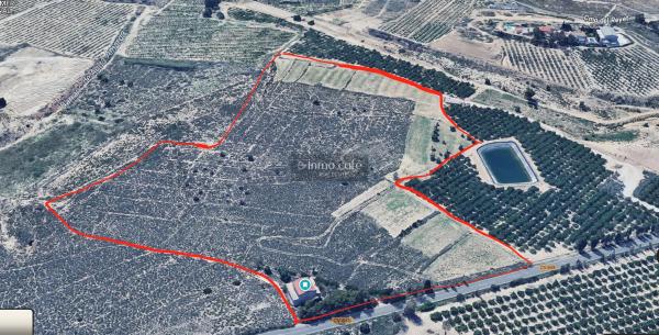 Terreno en Diseminado Bacarot