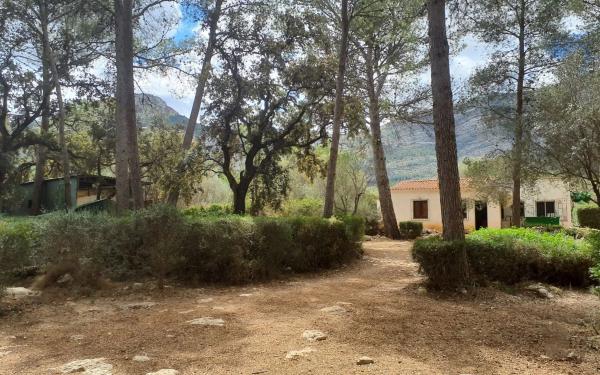 Terreno en poligono 4 parcela 77 s/n