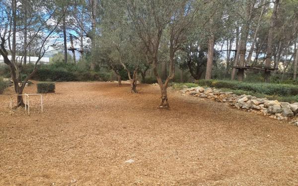 Terreno en poligono 4 parcela 77 s/n