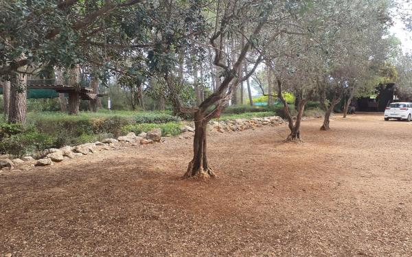 Terreno en poligono 4 parcela 77 s/n