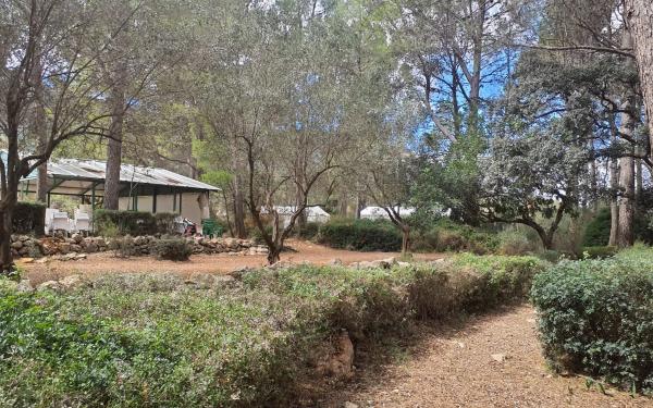 Terreno en poligono 4 parcela 77 s/n