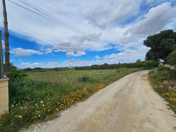 Terreno en Partida Valverde Bajo, 9014