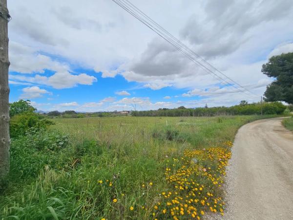 Terreno en Partida Valverde Bajo, 9014