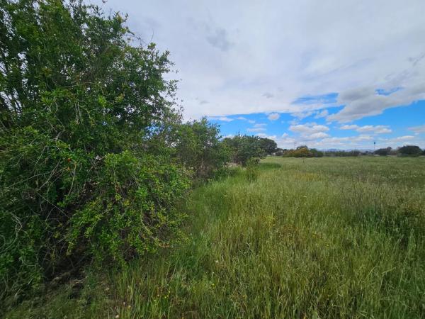 Terreno en Partida Valverde Bajo, 9014