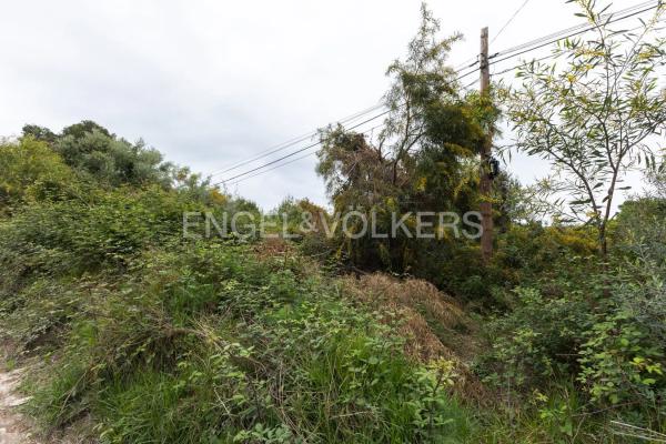 Terreno en Cap Martí - Pinomar